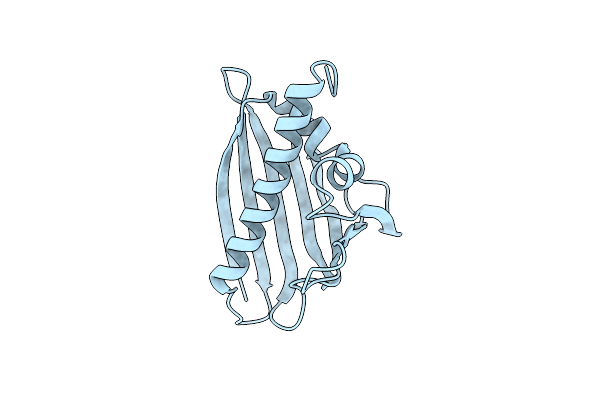 4BKD image