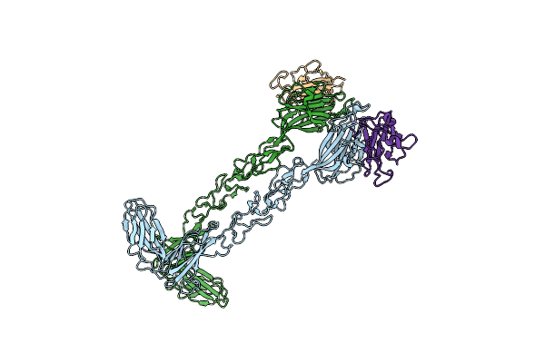 4BKF image