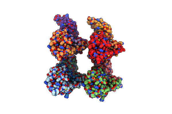 4BKT image