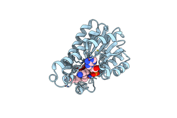 4BKU image