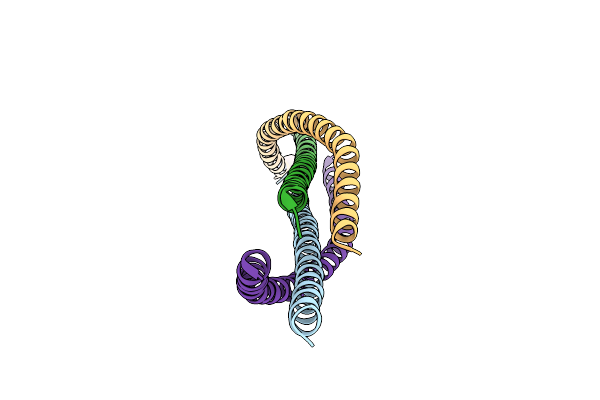 4BL6 image