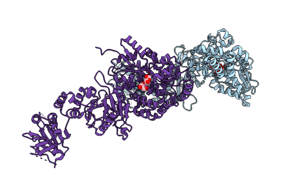 4BL8 image