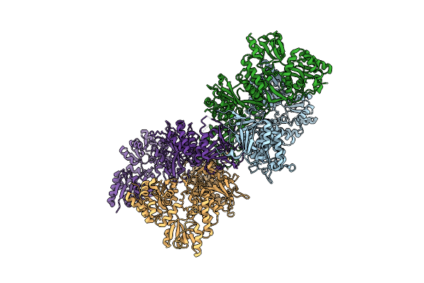 4BLA image