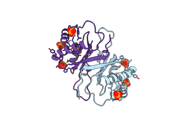 4BLG image