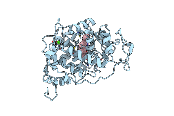 4BLX image