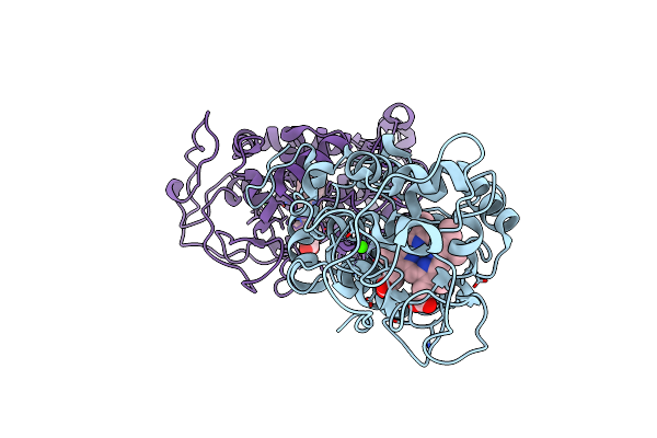 4BLZ image