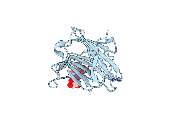 4BMB image