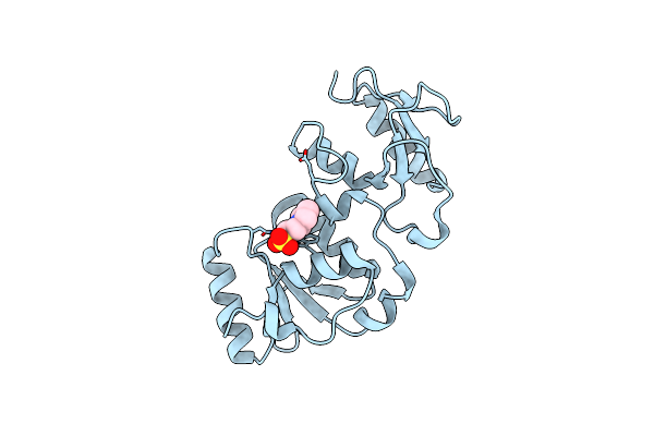 4BMD image
