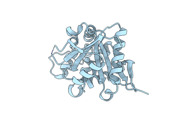 4BMH image