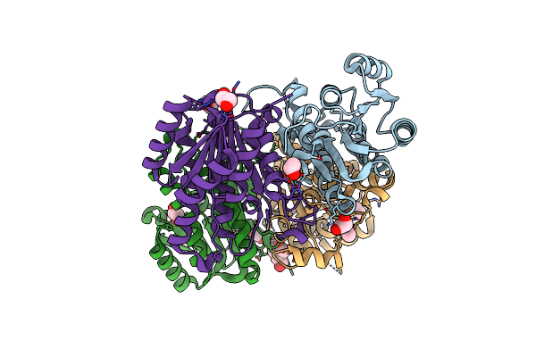 4BMN image