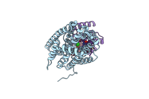 4BMP image