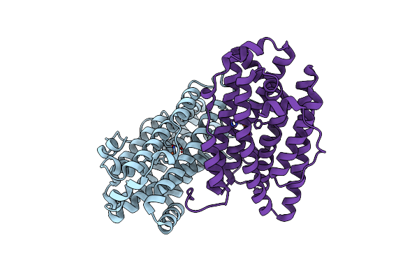 4BMR image