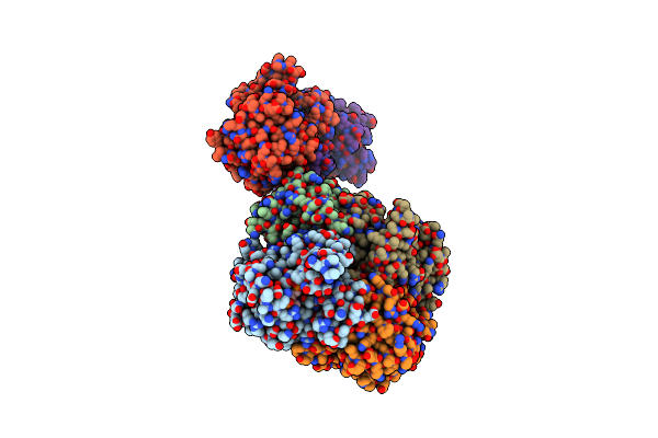 4BMS image