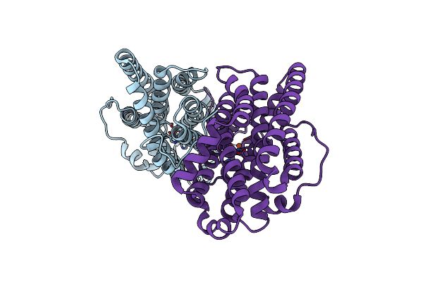 4BMT image