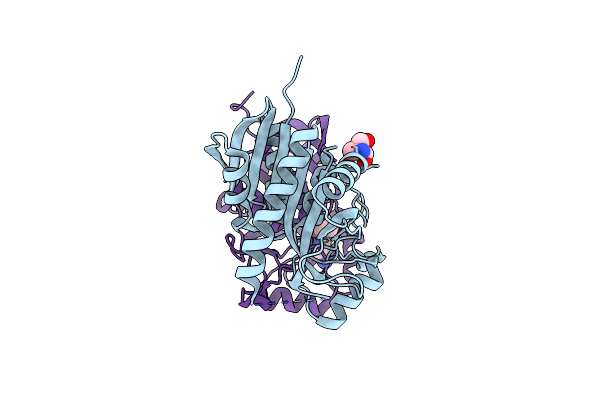 4BMX image
