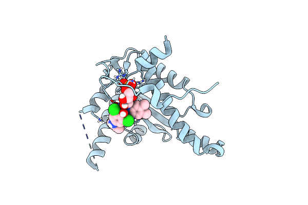 4BN7 image