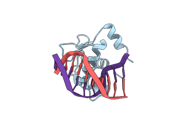 4BNC image