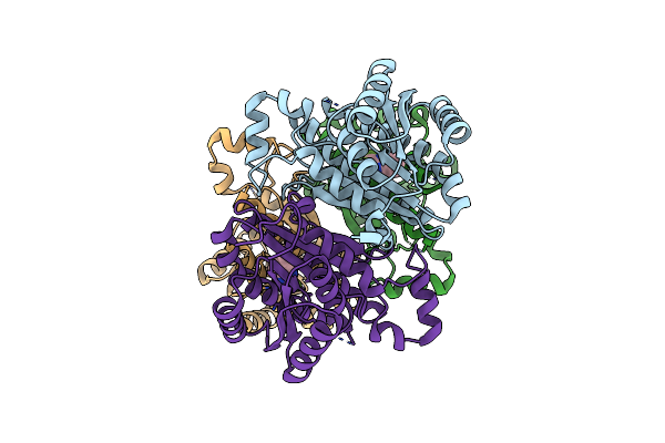 4BNT image