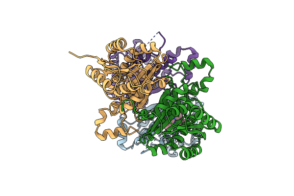 4BNU image