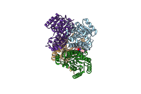 4BNX image