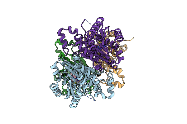 4BNY image