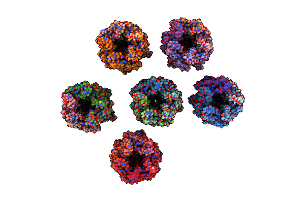 4BOG image