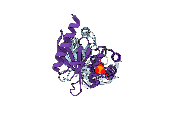 4BOP image