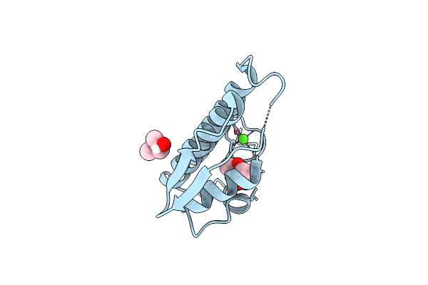 4BP2 image