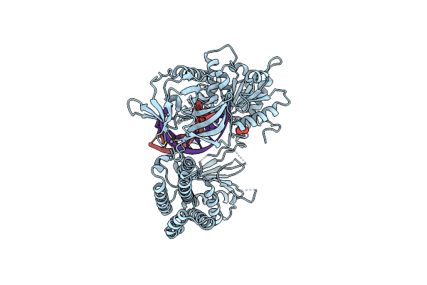4BPB image