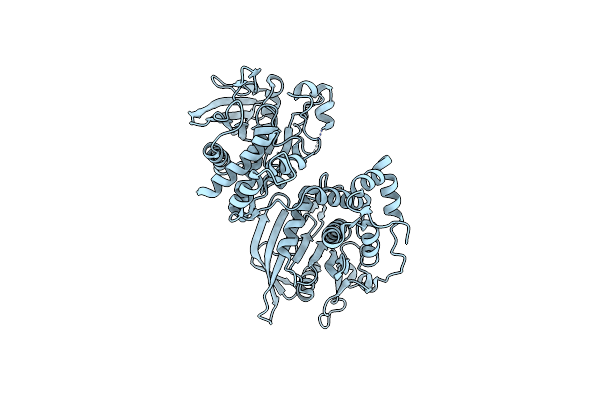 4BPC image