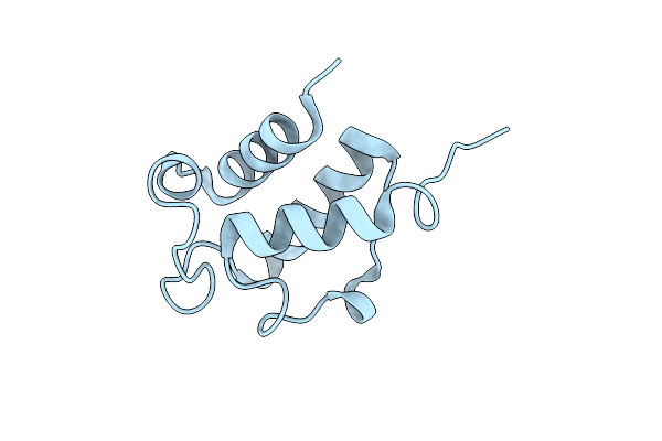 4BPF image