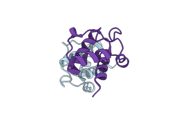 4BPG image