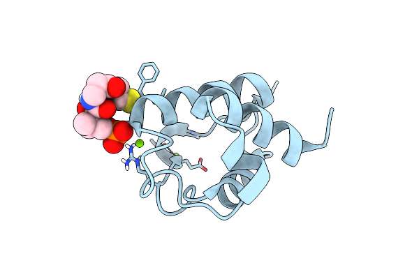 4BPH image
