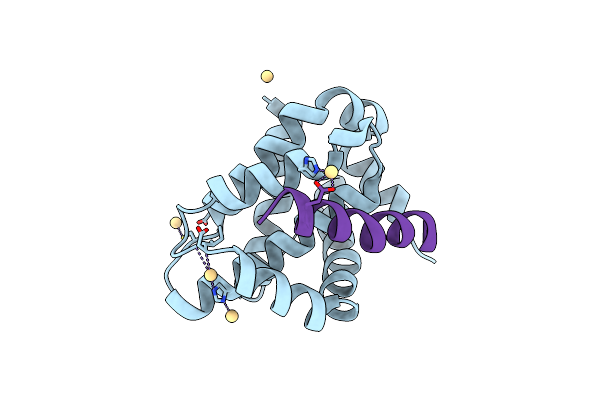 4BPI image