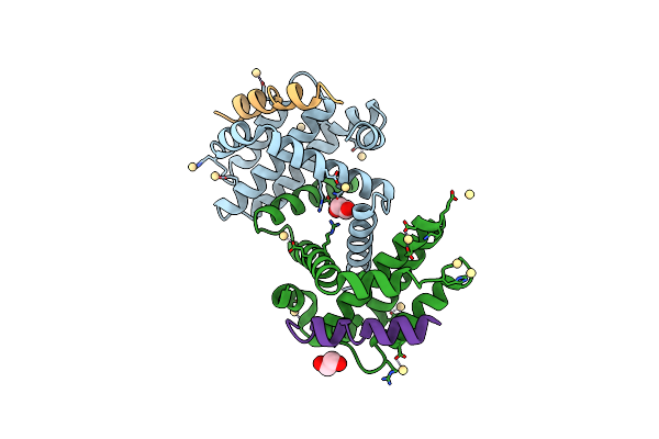 4BPK image
