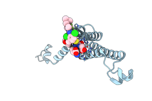 4BPM image