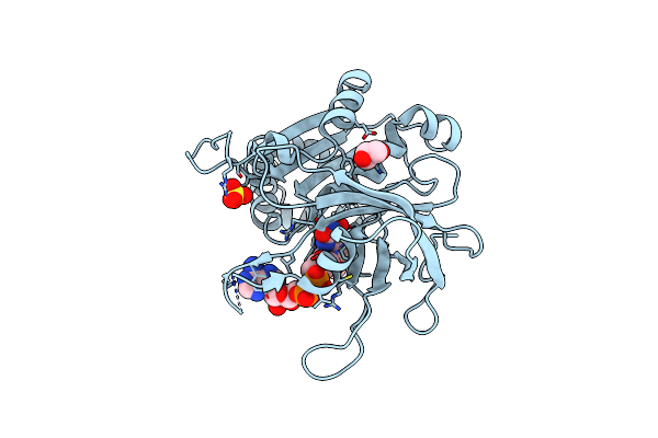 4BPR image