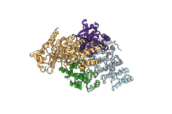 4BPX image