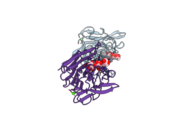 4BPZ image