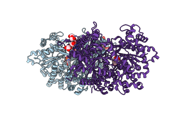 4BQI image