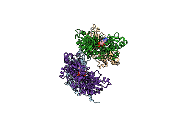 4BQL image
