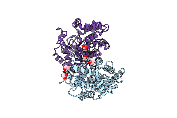 4BQM image