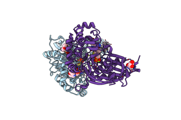 4BRH image