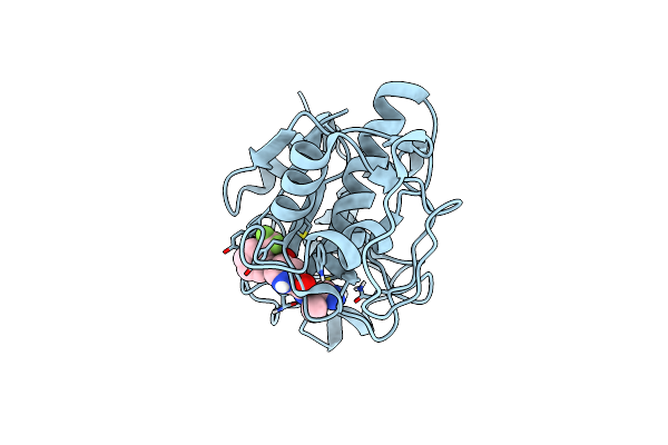 4BS5 image
