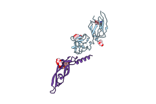 4BSK image