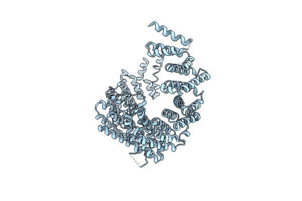 4BSN image