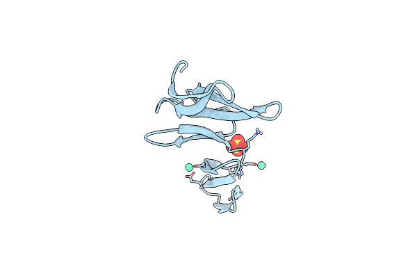 4BSP image