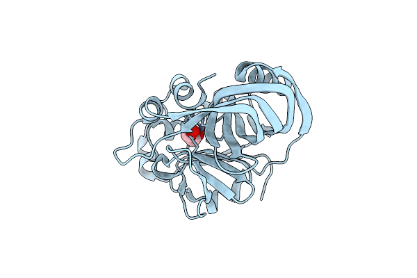 4BT2 image