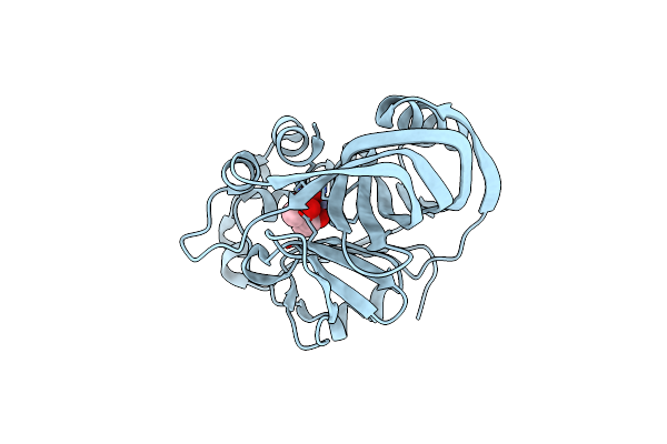 4BT3 image
