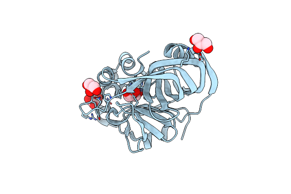 4BT6 image